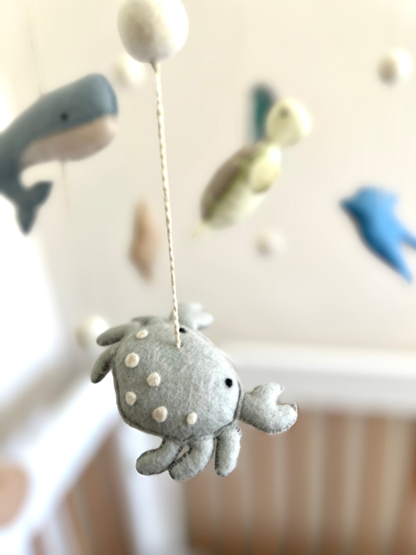 Ocean Creatures