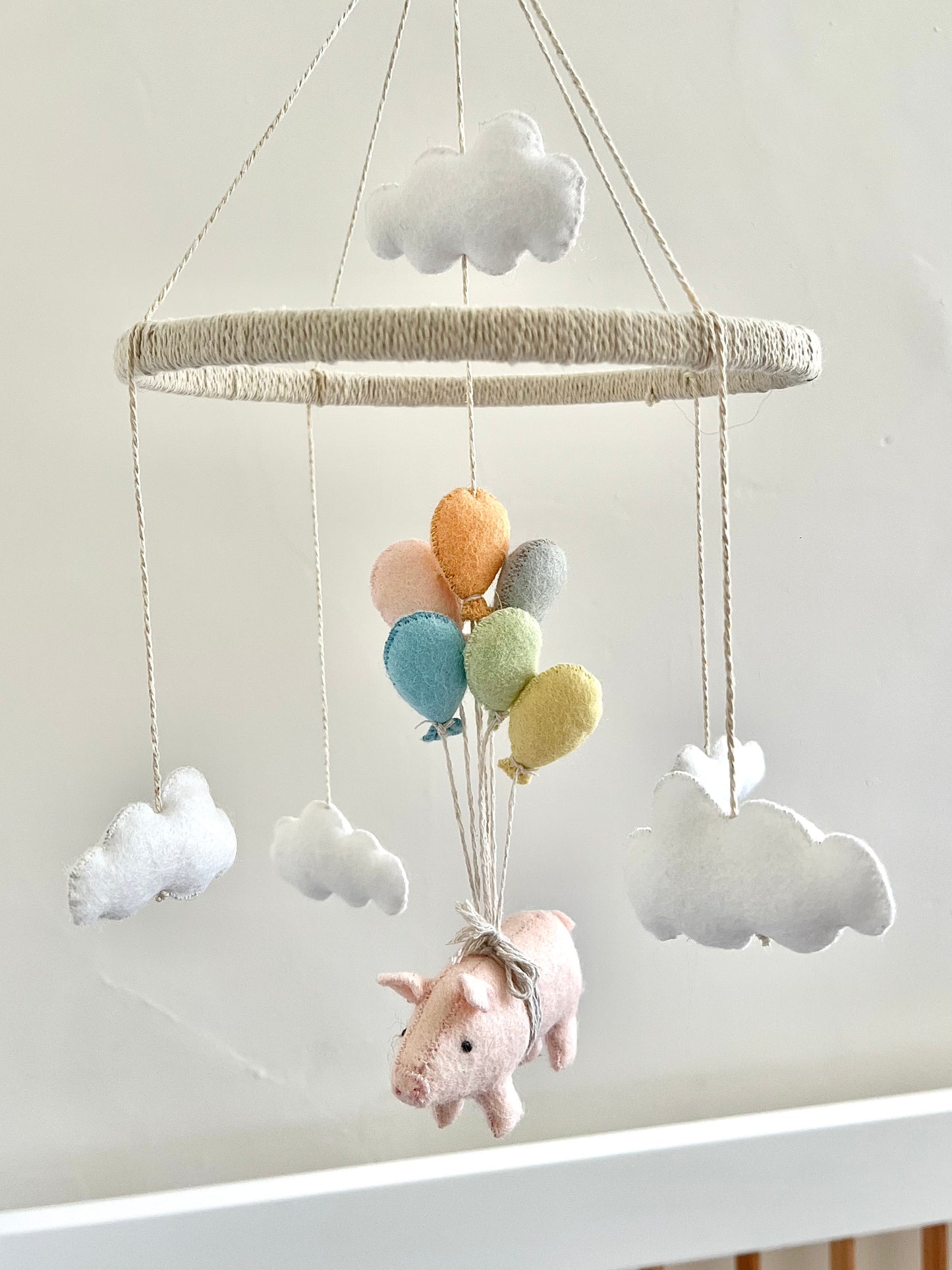The Flying Pig