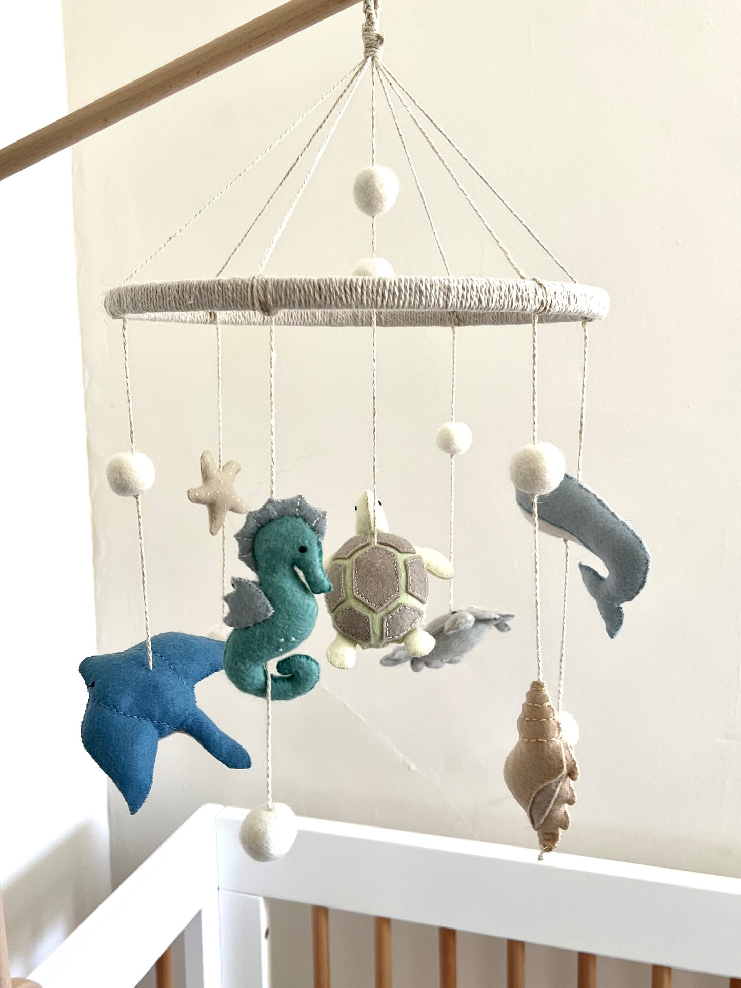 Ocean Creatures