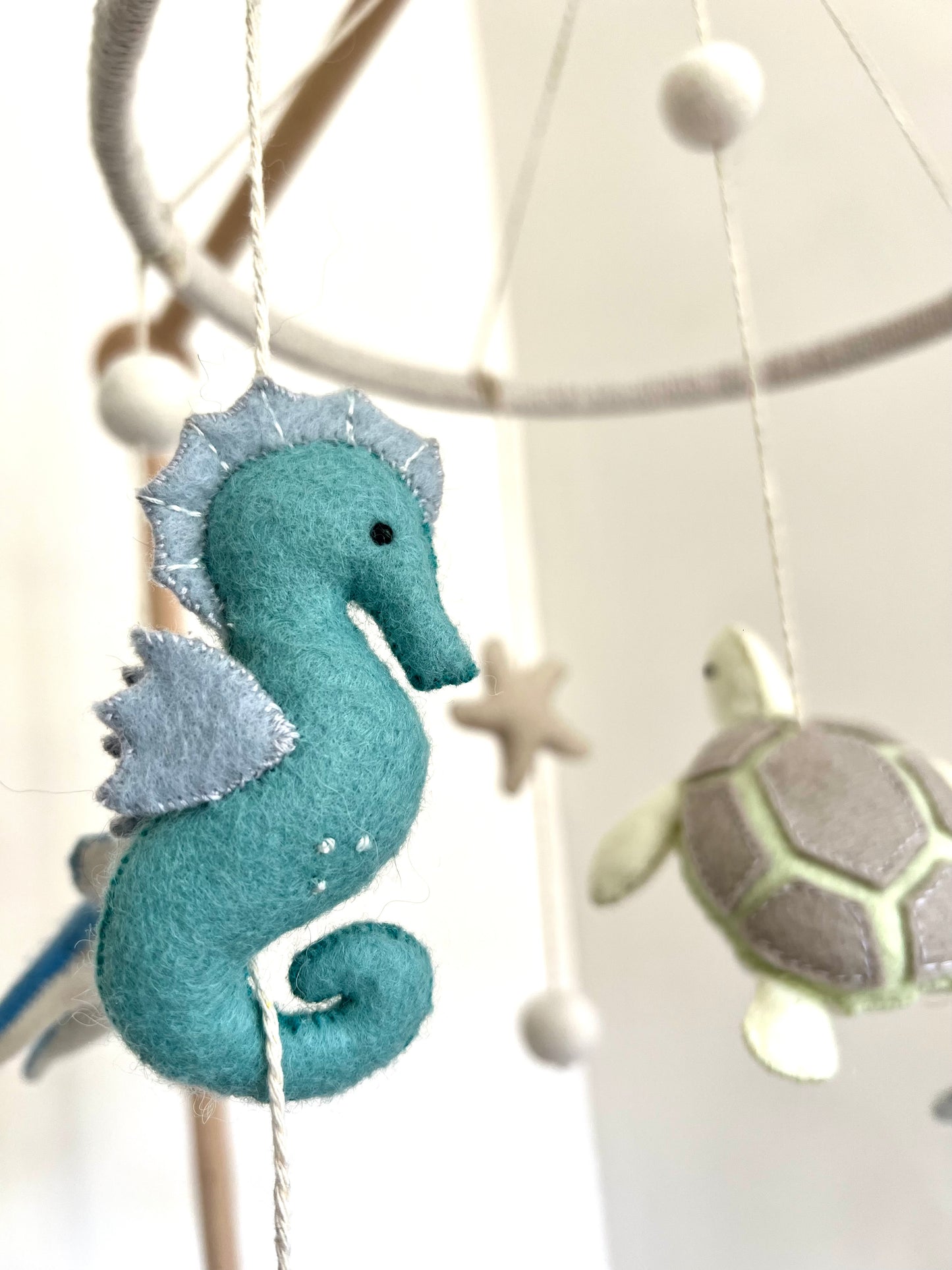 Ocean Creatures