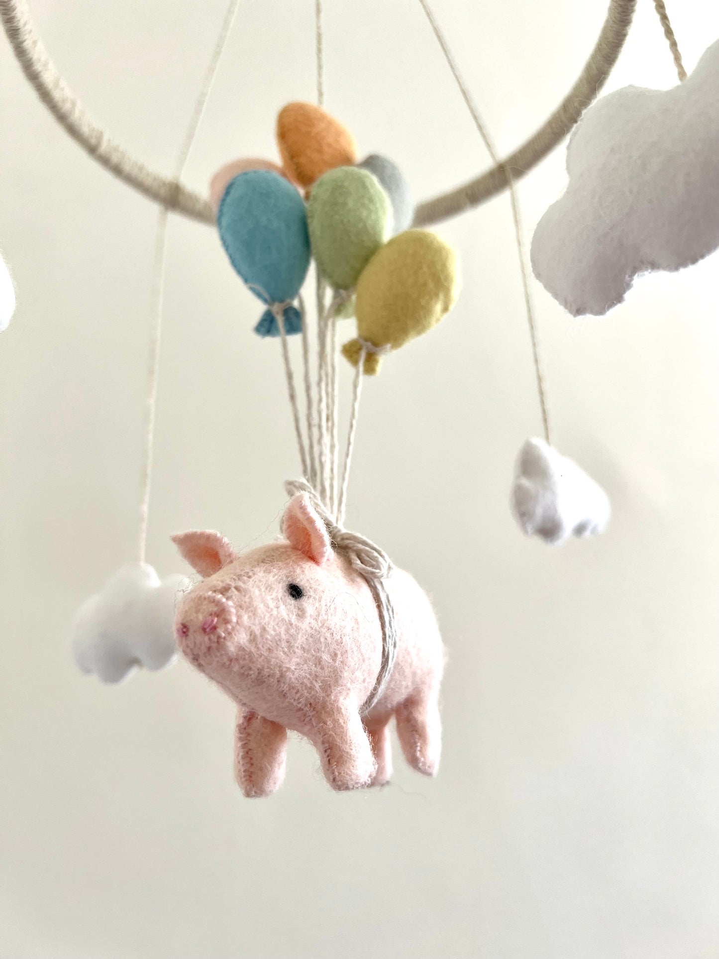 The Flying Pig