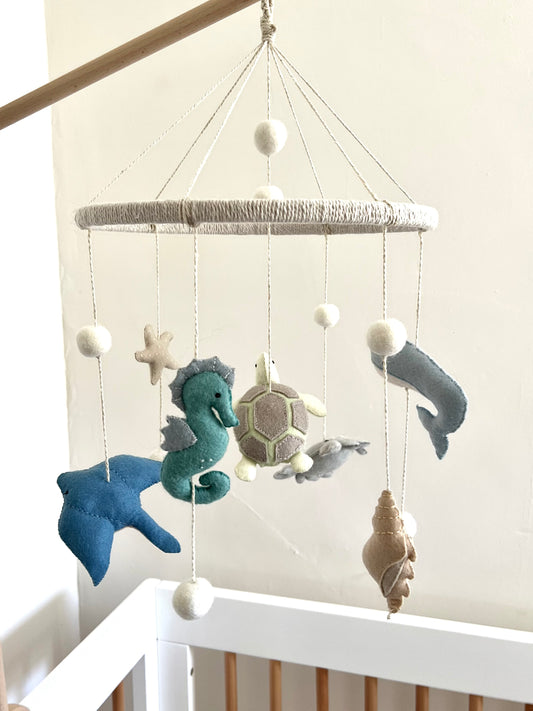 Ocean Creatures