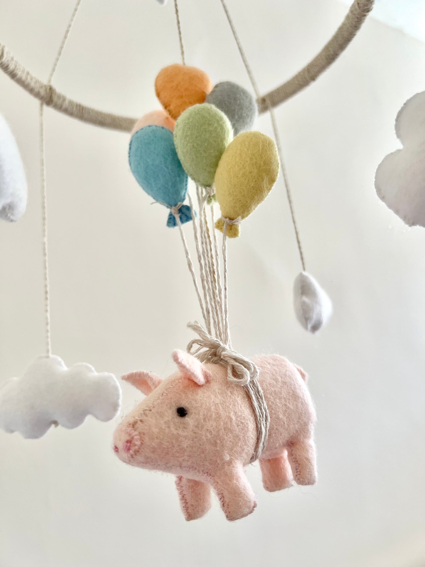 The Flying Pig