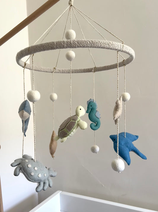 Ocean Creatures
